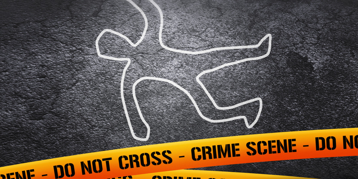 The Best Gold IRA: A Complete Information