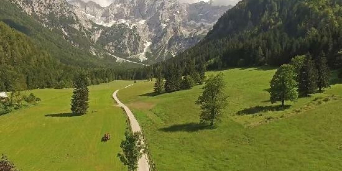 Rangers Triumph Over Hibernian in High Stakes Clash