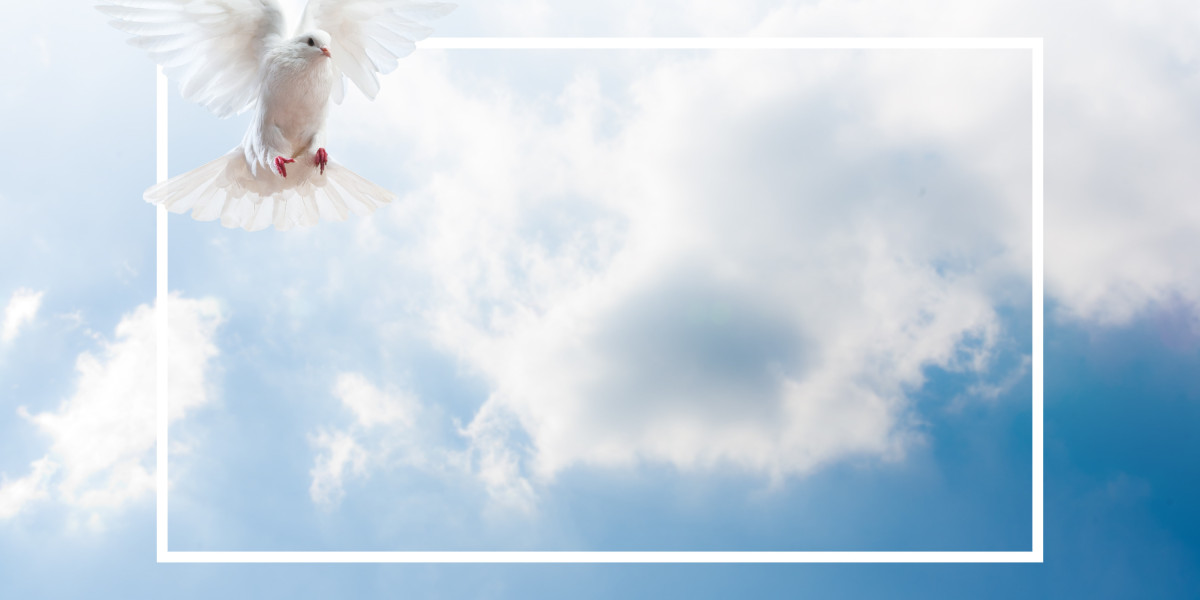 Best Male Erectile Dysfunction Treatments: A Comprehensive Overview