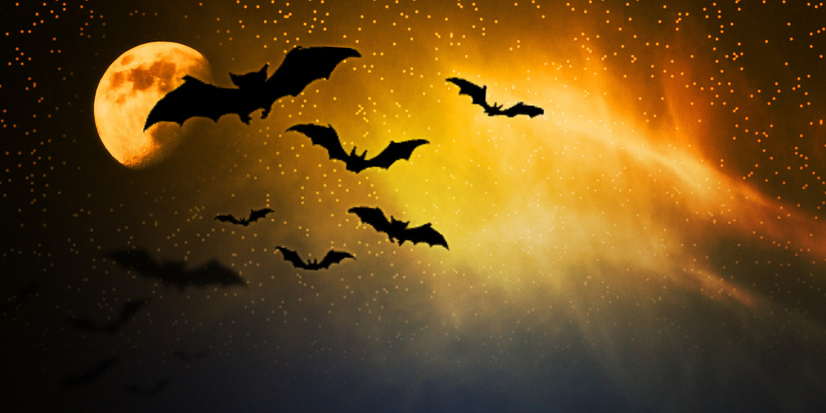 Understanding Gold IRA Accounts: A Comprehensive Examine