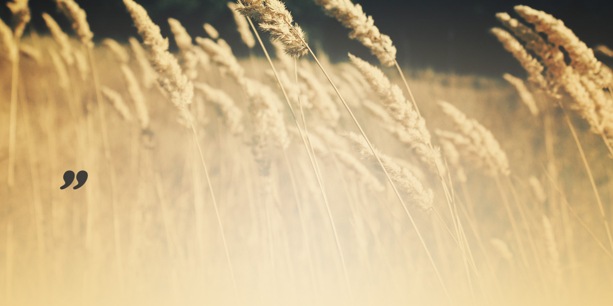 Fast Short Term Loans No Credit Check: A Modern Financial Solution